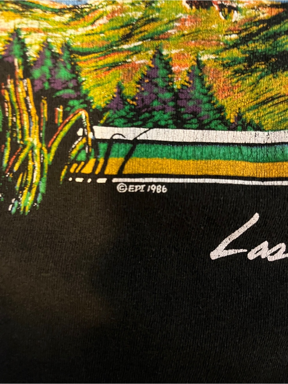 Fruit of the Loom Black Graphic Short Sleeve Tee with Green and Yellow Print